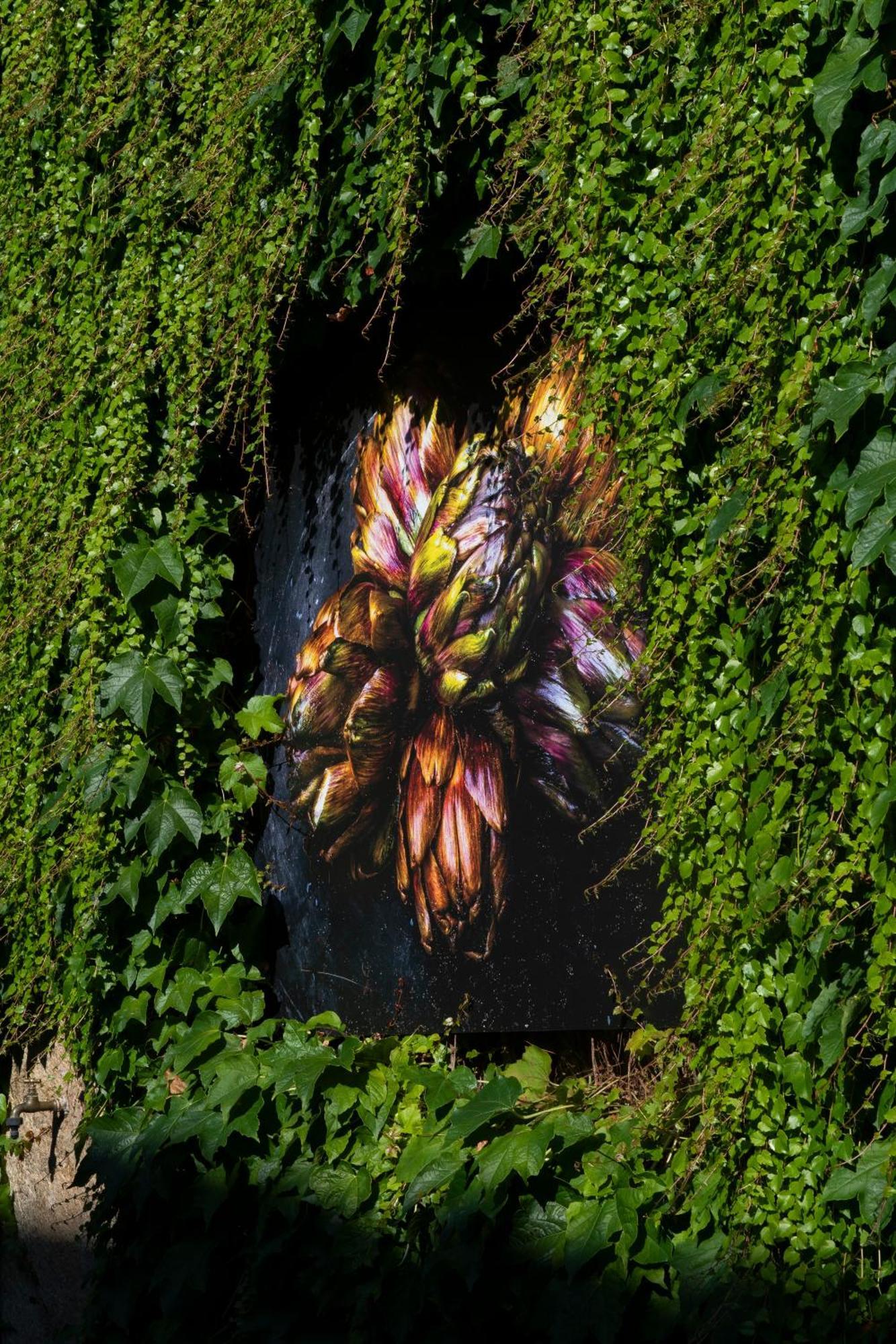 Locanda Ca Dei Santi Induno Olona Exteriér fotografie